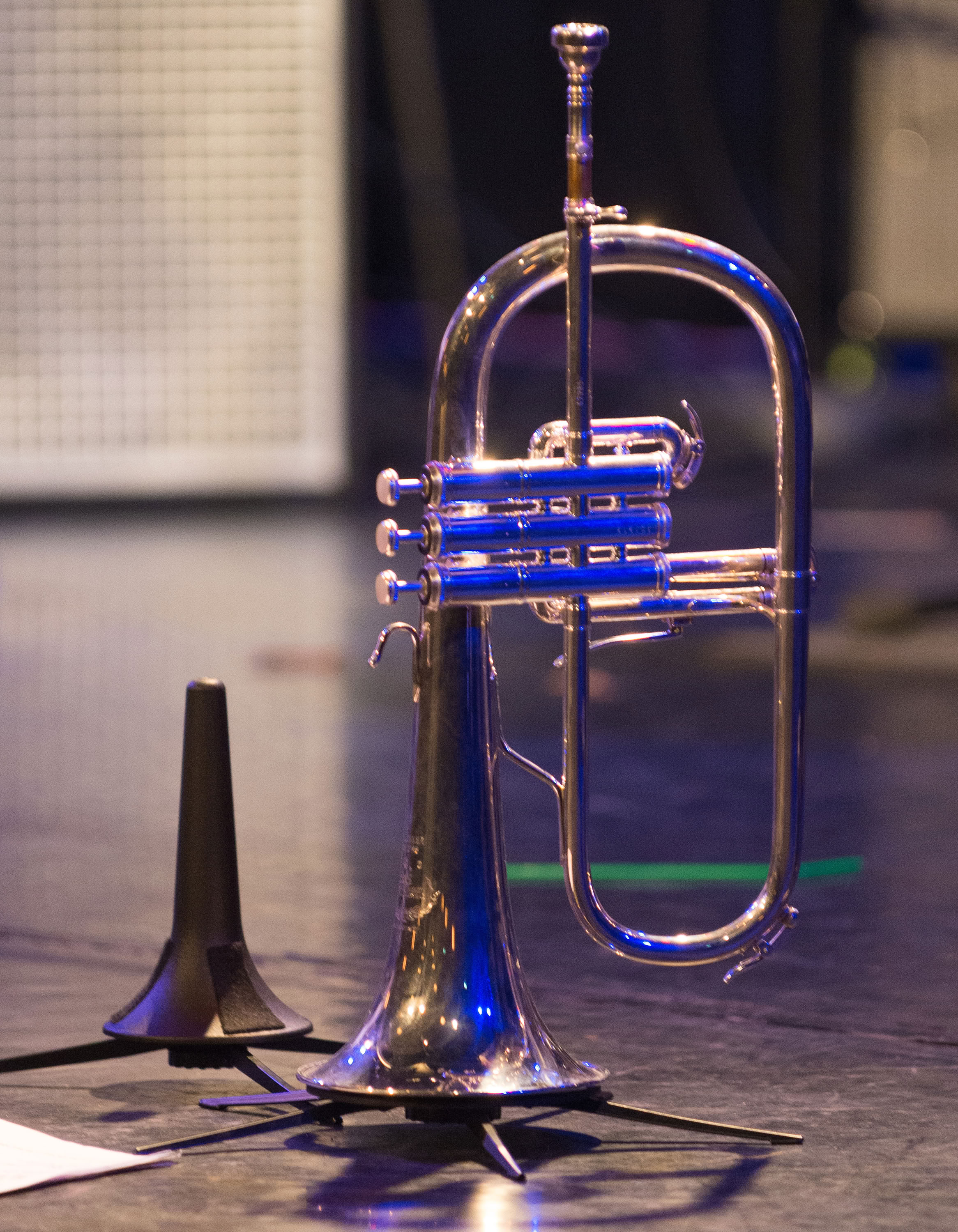 copyright by Daniel Pasche